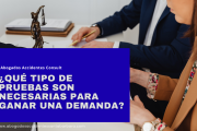 qué evidencia necesito para una demanda