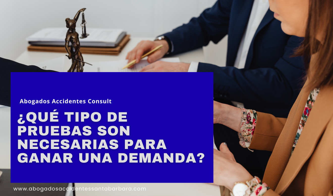 qué evidencia necesito para una demanda