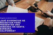 qué evidencia necesito para demanda Santa Barbara